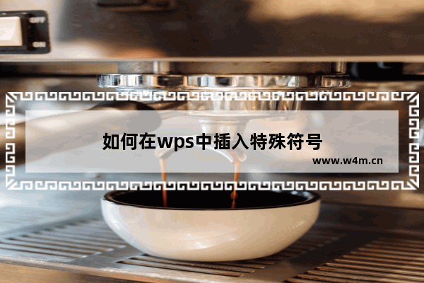 如何在wps中插入特殊符号