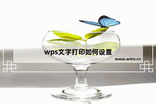 wps文字打印如何设置