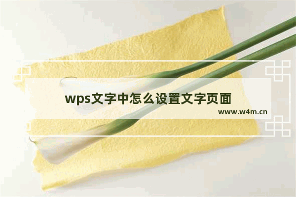 wps文字中怎么设置文字页面