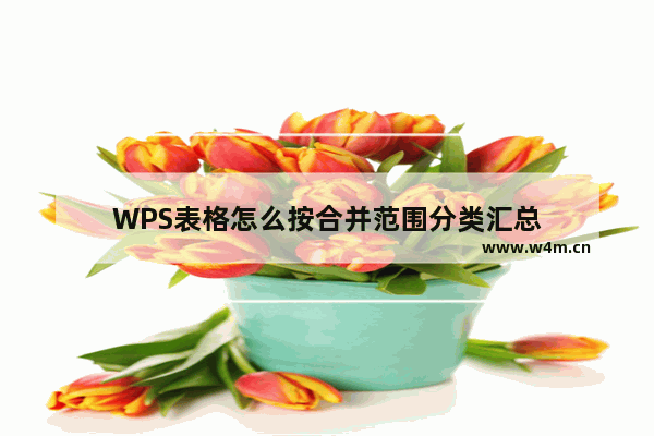 WPS表格怎么按合并范围分类汇总