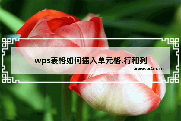 wps表格如何插入单元格.行和列