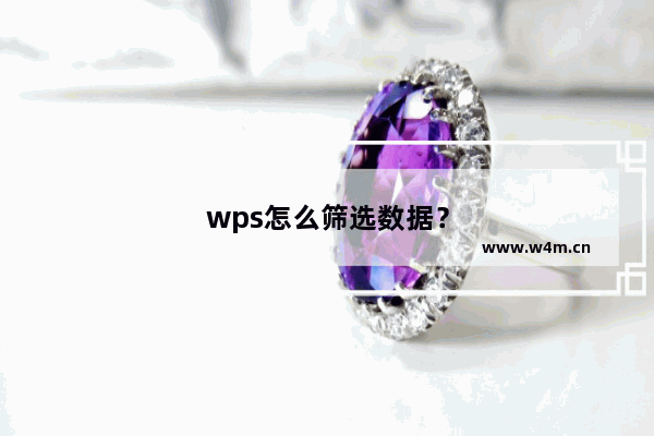 wps怎么筛选数据？