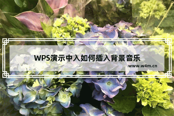 WPS演示中入如何插入背景音乐