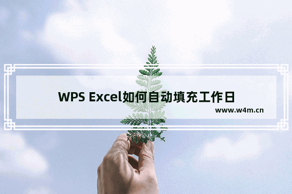 WPS Excel如何自动填充工作日