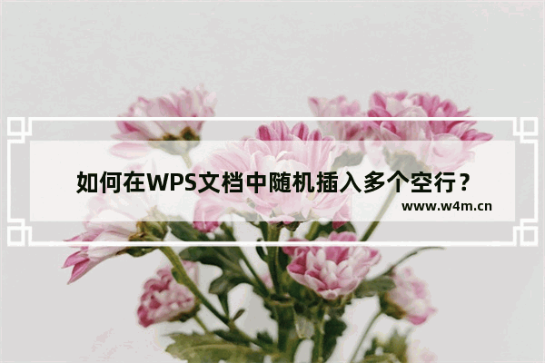 如何在WPS文档中随机插入多个空行？