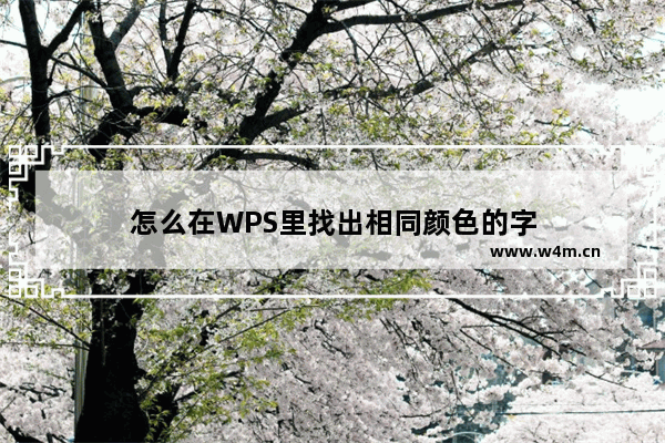 怎么在WPS里找出相同颜色的字