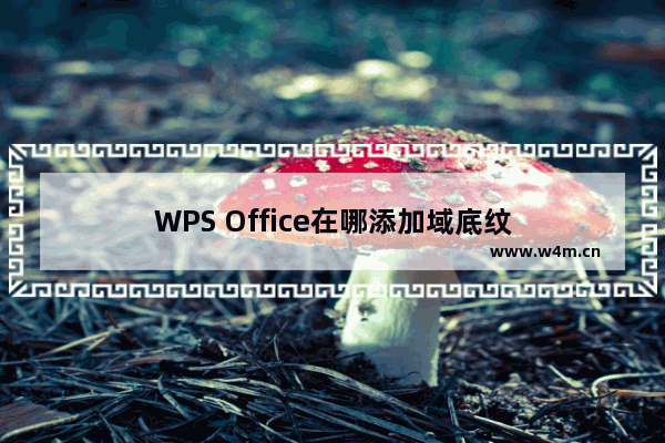 WPS Office在哪添加域底纹