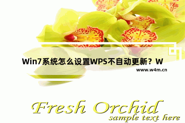 Win7系统怎么设置WPS不自动更新？WPS不自动更新设置教程