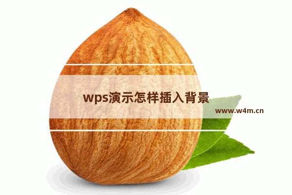 wps演示怎样插入背景