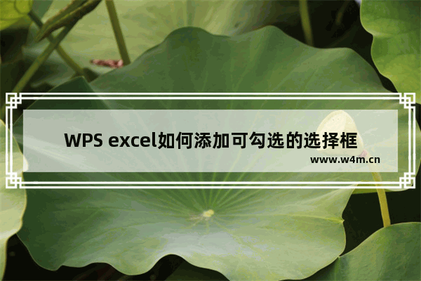 WPS excel如何添加可勾选的选择框？