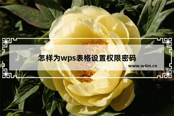 怎样为wps表格设置权限密码