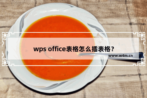 wps office表格怎么插表格？