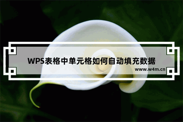 WPS表格中单元格如何自动填充数据