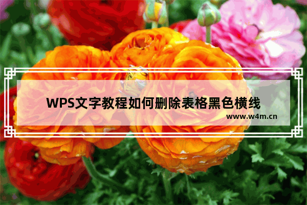 WPS文字教程如何删除表格黑色横线