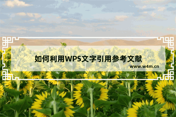 如何利用WPS文字引用参考文献