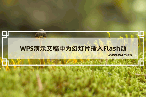 WPS演示文稿中为幻灯片插入Flash动画文件的具体步骤