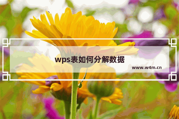 wps表如何分解数据