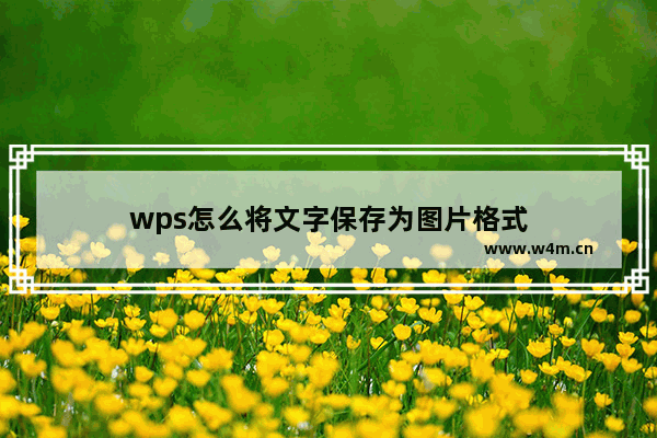 wps怎么将文字保存为图片格式