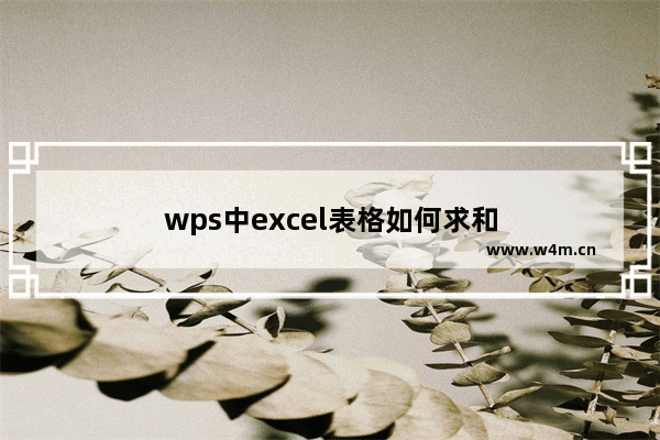 wps中excel表格如何求和