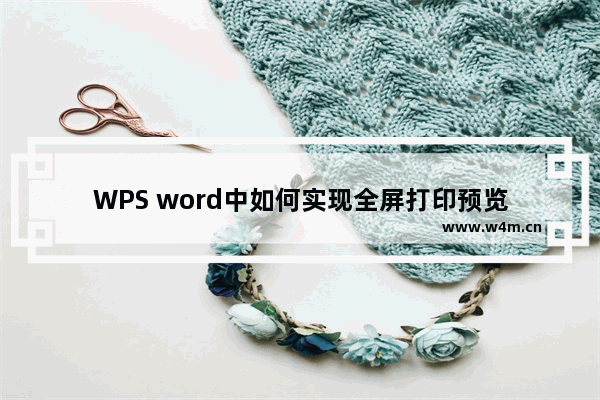 WPS word中如何实现全屏打印预览