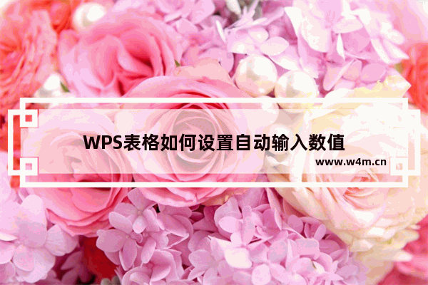 WPS表格如何设置自动输入数值