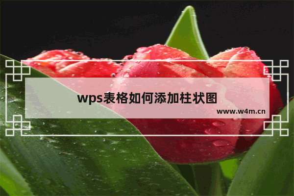 wps表格如何添加柱状图