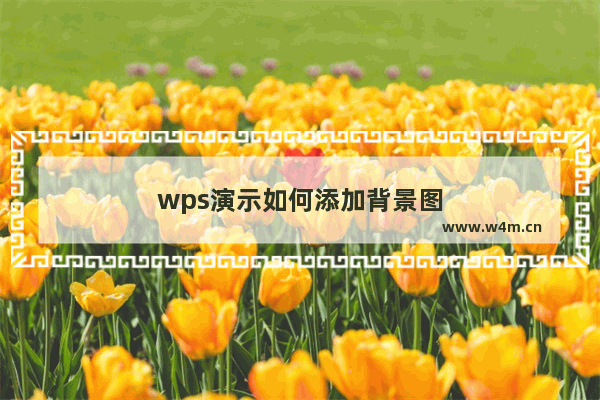 wps演示如何添加背景图