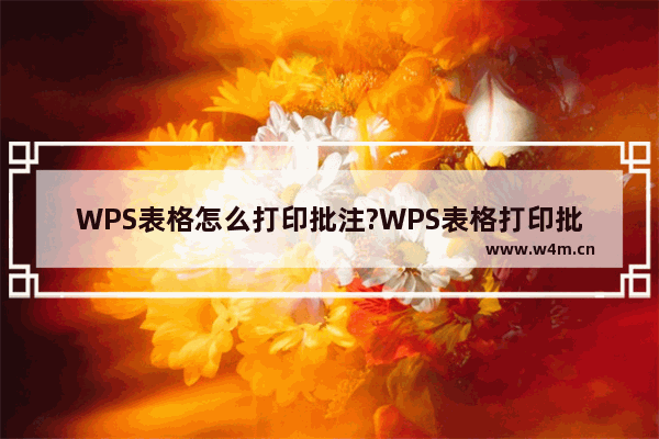 WPS表格怎么打印批注?WPS表格打印批注方法