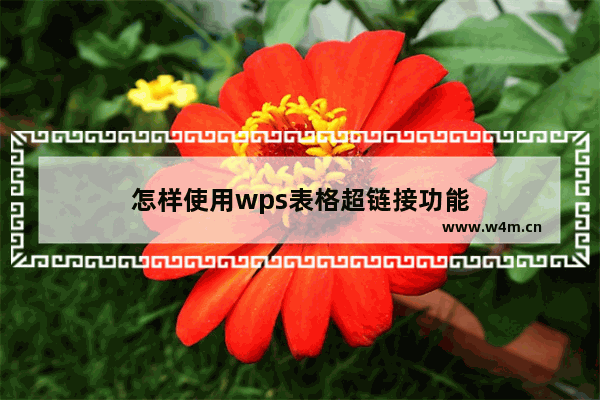 怎样使用wps表格超链接功能