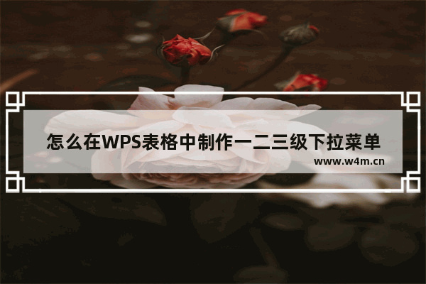 怎么在WPS表格中制作一二三级下拉菜单