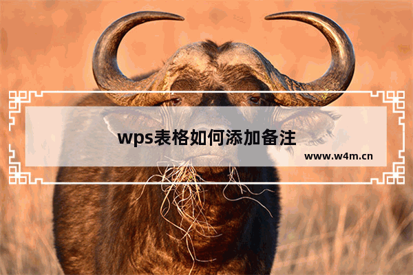 wps表格如何添加备注