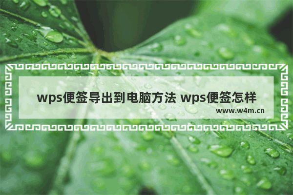 wps便签导出到电脑方法 wps便签怎样导出来