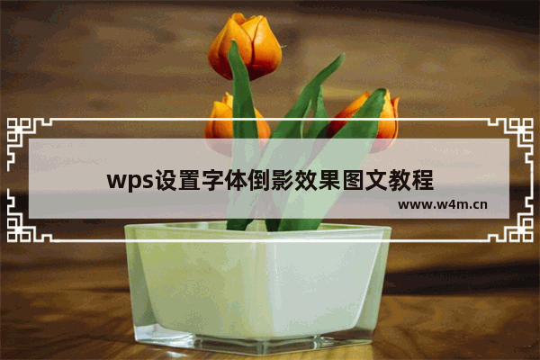 wps设置字体倒影效果图文教程