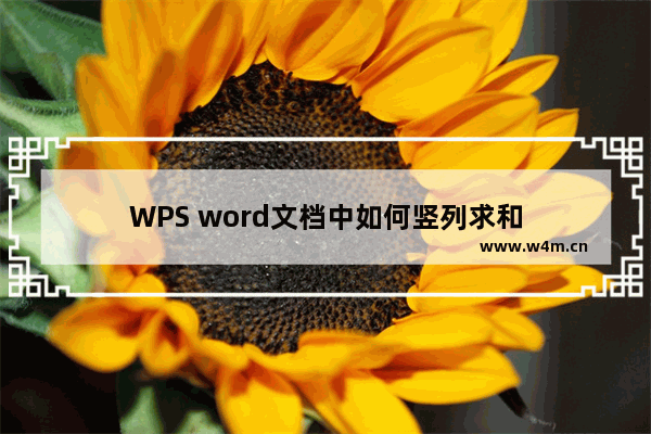 WPS word文档中如何竖列求和