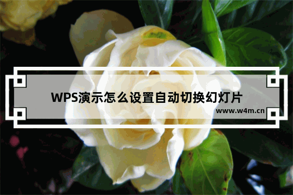 WPS演示怎么设置自动切换幻灯片