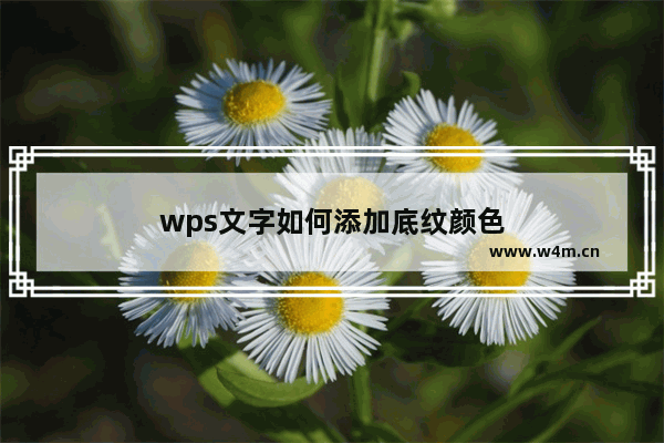 wps文字如何添加底纹颜色