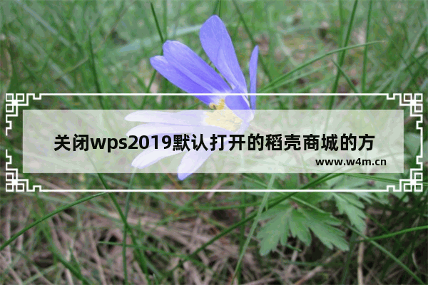 关闭wps2019默认打开的稻壳商城的方法