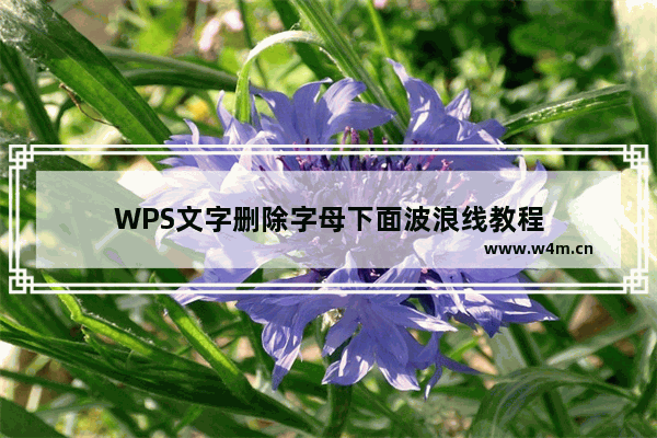 WPS文字删除字母下面波浪线教程