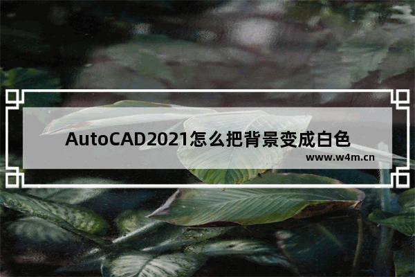 AutoCAD2021怎么把背景变成白色的 更改背景为白色教程