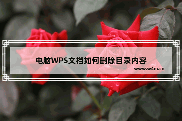 电脑WPS文档如何删除目录内容