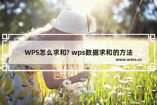 WPS怎么求和? wps数据求和的方法