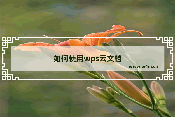 如何使用wps云文档