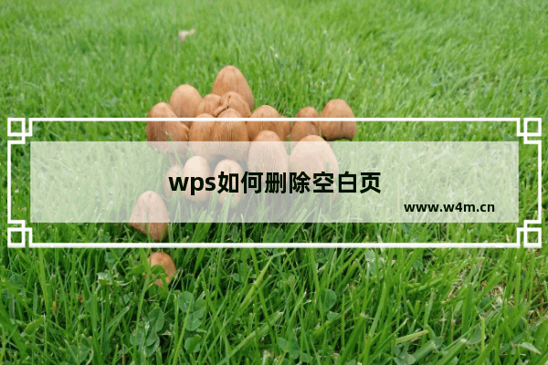 wps如何删除空白页