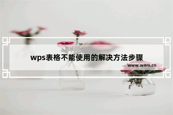 wps表格不能使用的解决方法步骤