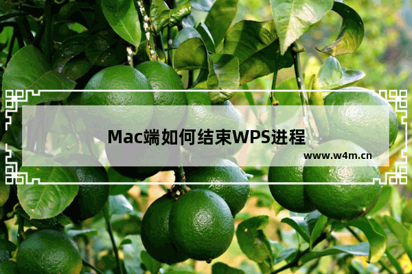 Mac端如何结束WPS进程