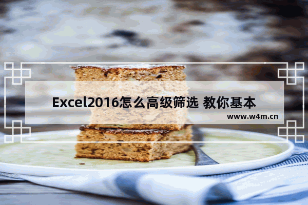 Excel2016怎么高级筛选 教你基本操作