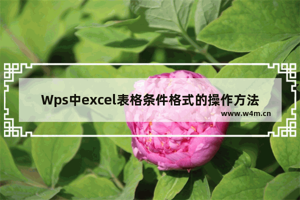 Wps中excel表格条件格式的操作方法