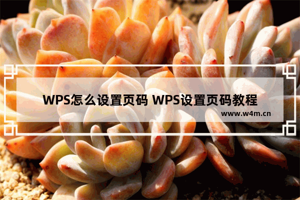 WPS怎么设置页码 WPS设置页码教程