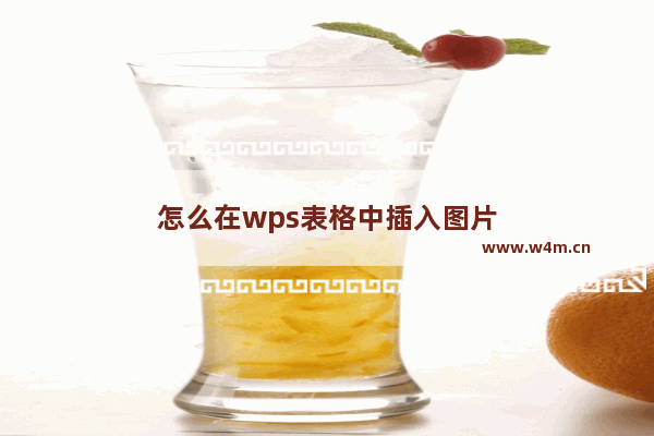 怎么在wps表格中插入图片