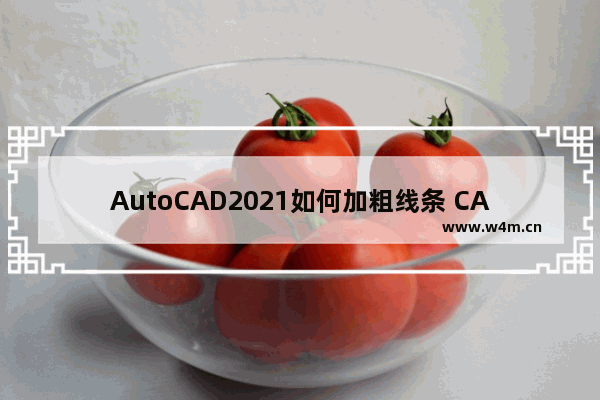 AutoCAD2021如何加粗线条 CAD线条粗细怎么改